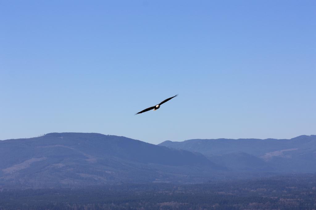 Eaglenest Manor Cowichan Duncan Esterno foto